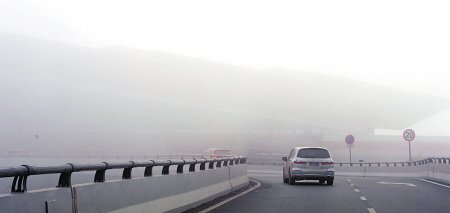 91529972.jpg